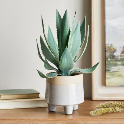 Dunelm Coastal Aloe Vera in Ceramic Pot Green
