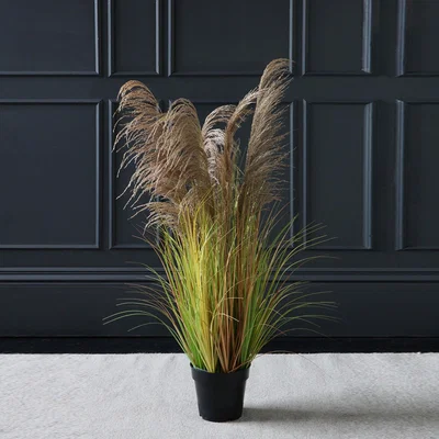 Dunelm Potted Light Brown Pampas 130cm Light Brown