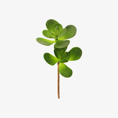 Dunelm Green Artificial Jade Stem Green