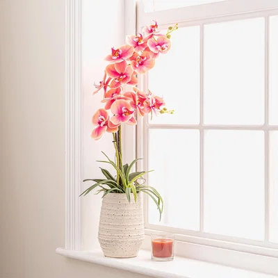 Dunelm Pink Orchid in Ceramic Pot 67cm Pink