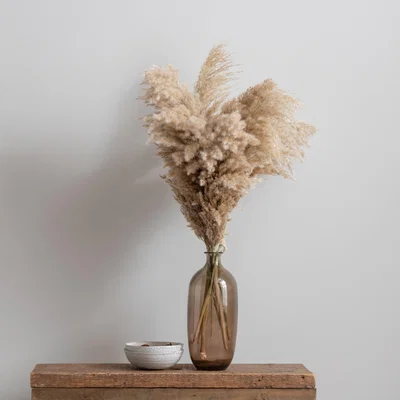 Dunelm Dried Pampas Natural Grass Bundle 75cm Natural