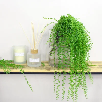 Dunelm Artificial String of Pearls 54cm 12 Pack Green