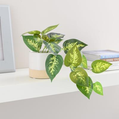 Dunelm Artificial Trailing Devil's Ivy in Ceramic Pot Natural