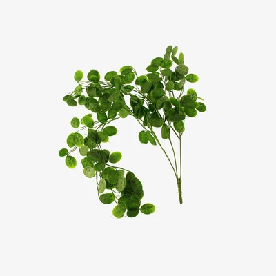 Dunelm Pack of 12 Artificial Green Trailing Honesty Green