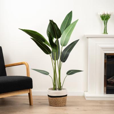 Dunelm Artificial Bird of Paradise Tree in Black Plastic Plant Pot Green