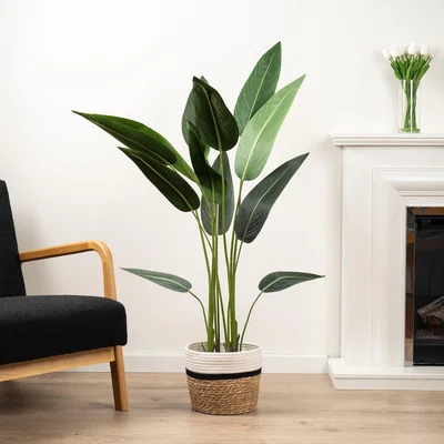 Dunelm Artificial Bird of Paradise Tree in Black Plastic Plant Pot Green