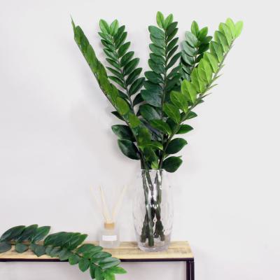 Dunelm Pack of 6 Artificial Zanzibar Gem Stem Green