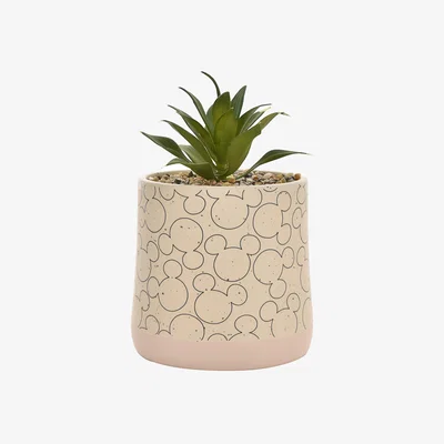 Dunelm Artificial Succulent in Disney Mickey Mouse Plant Pot