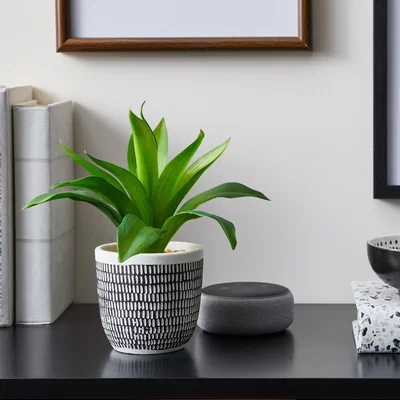 Dunelm Artificial Leaves Green in Black and White Pot Green, Black and White