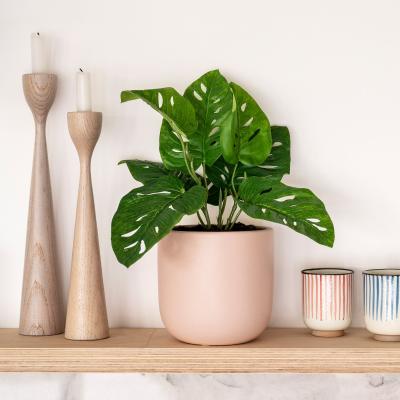 Dunelm Artificial Monstera Obliqua Green