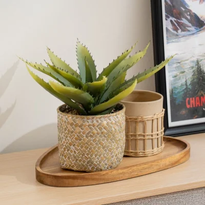 Dunelm Artificial Aloe in Seagrass Basket
