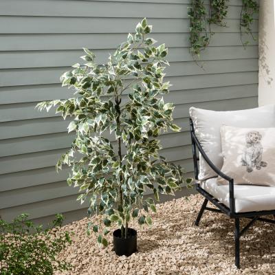 Dunelm Variegated Ficus Tree 155cm Green