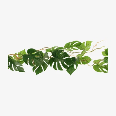 Dunelm Monstera Green Garland Green