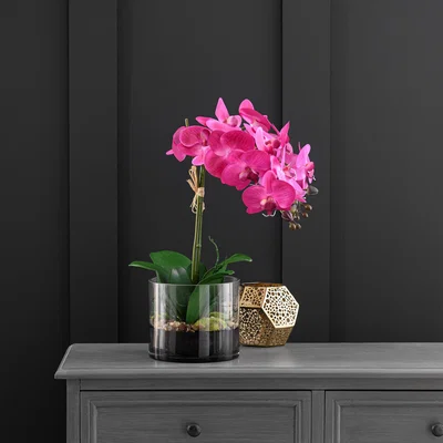 Dunelm Artificial Pink Orchid in Glass Vessel Pink