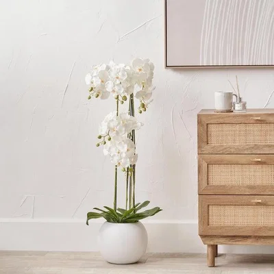Dunelm Artificial White Orchid in Rounded White Plant Pot