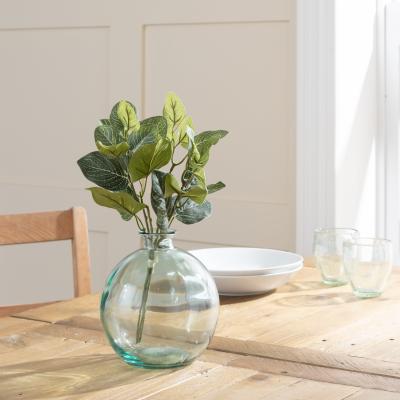 Dunelm Fittonia Green Bundle 30cm Green