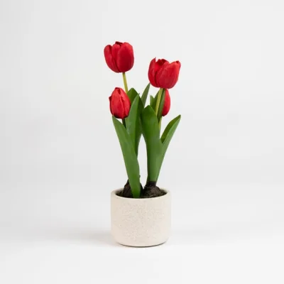 Dunelm Artificial Tulips in Cement Pot