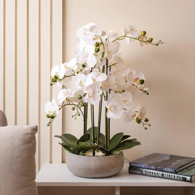 Dunelm Artificial White Orchid in Grey Ceramic Plant Pot Grey