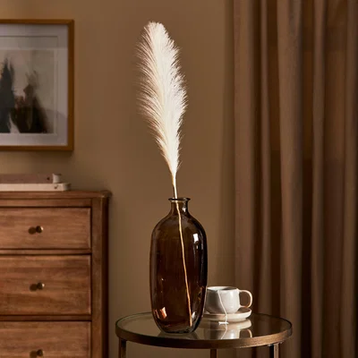 Dunelm Natural Pampas Grass Brown