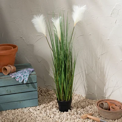 Dunelm Potted Pampas 100cm Green