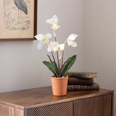 Dunelm Real Touch Cream Slipper Orchid 50cm White