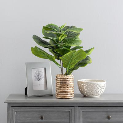Dunelm Artificial Fig Plant in Basket 60cm Green