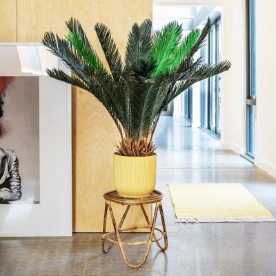 Dunelm Artificial Sago Palm Green