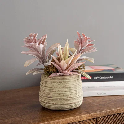 Dunelm Churchgate Artificial Flocked Succulent Garden Grey