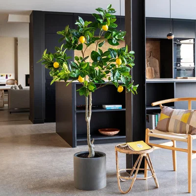 Dunelm Artificial Lemon tree Green