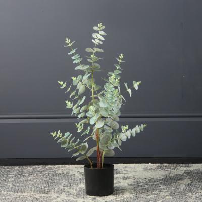 Dunelm Eucalyptus Tree 70cm Green