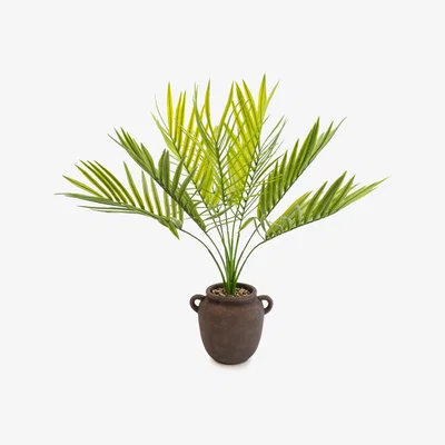 Dunelm Artificial Palm in Pot Black