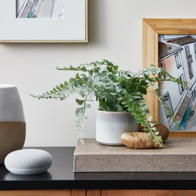 Dunelm Artificial Frosted Fern in Reactive Ceramic Pot 30cm Green