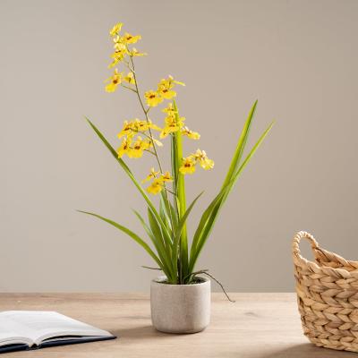 Dunelm Artificial Real Touch Yellow Oncidium Orchid Spray in Cement Plant Pot Yellow