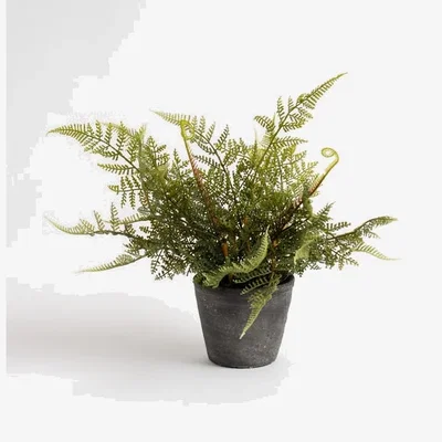 Dunelm Artificial Fern in Rustic Cement Pot
