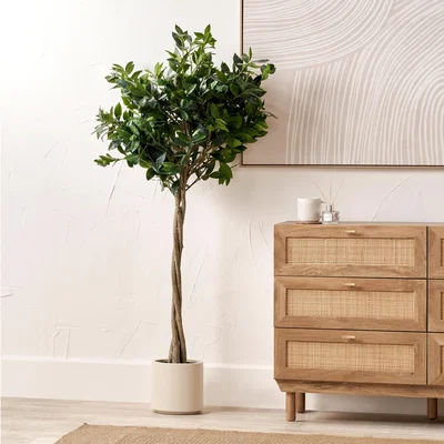 Dunelm Artificial Medium Bay Tree in Cream Plant Pot