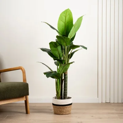 Dunelm Artificial Real Touch Dieffenbachia Plant