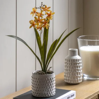 Dunelm Cedar & Sage Artificial Orange Orchid in Ceramic Pot
