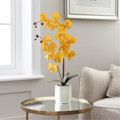 Dunelm Artificial Orchid Ochre in Grey Pot 56cm Ochre