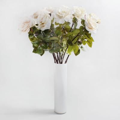 Dunelm Pack of 12 Artificial Rose Cream Stem 80cm Cream