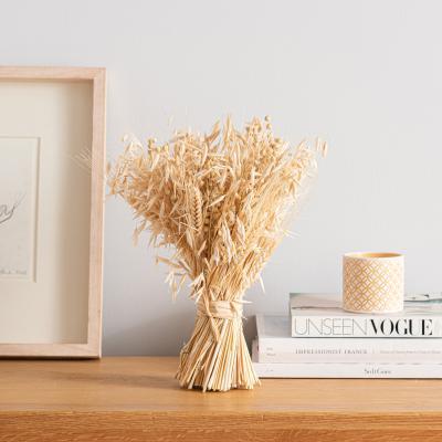 Dunelm Pretty Boho Bleached Standing Dried Bundle Yellow