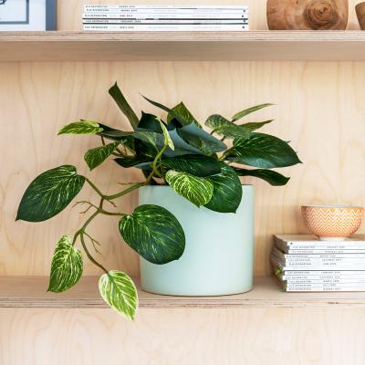Dunelm Artificial Pothos Green