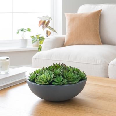 Dunelm Artificial Succulent Arrangement in Grey Cement Bowl