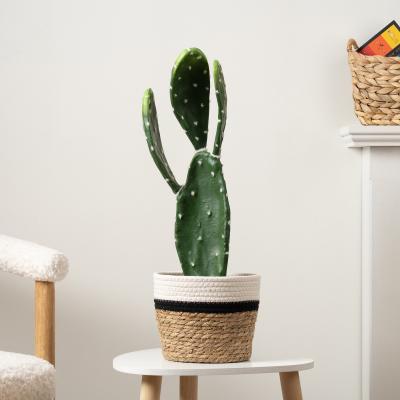 Dunelm Artificial Prickly Pear in Black Plastic Plant Pot Green