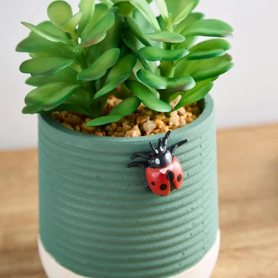 Dunelm Artificial Succulent with Lady Bird