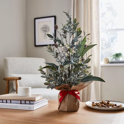 Dunelm Frosted Artificial Eucalyptus Arrangement Red