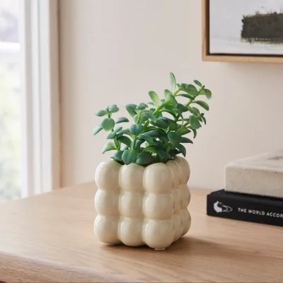 Dunelm Artificial Succulent in Bubble Plant Pot