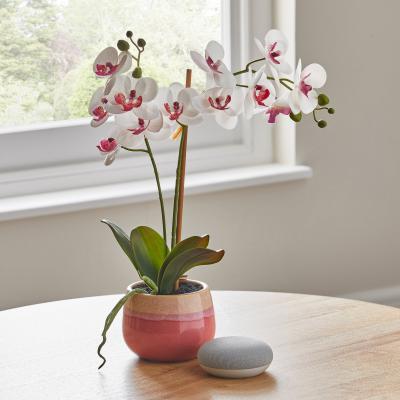Dunelm Artificial Orchid Cream in Pink Pot 48cm Cream and Pink