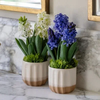 Dunelm Cedar & Sage Set of 2 Artificial Purple Hyacinths in Ceramic Pots