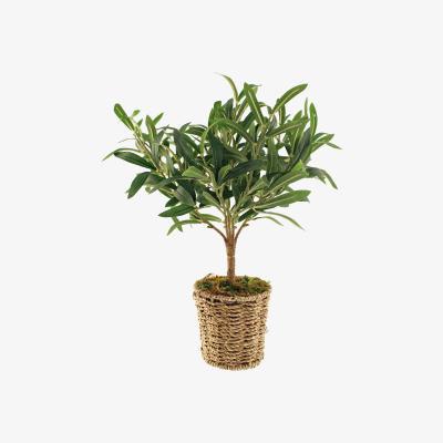 Dunelm Churchgate Artificial Olive Tree in Basket Green