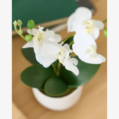 Dibor Artificial Potted White Orchid